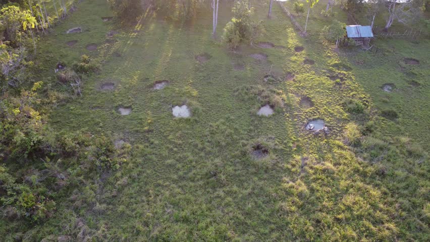 Aerial view of the buffalo pen and the holes in the ground made by the buffalo for bathing