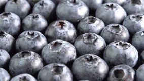 Whole blueberries rotate close-up. Juicy blueberry as a background for an advertising food video or promotion