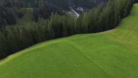 Aerial video over an alpine area and a forest of green conifers and mountains in the background. Davos, Switzerland