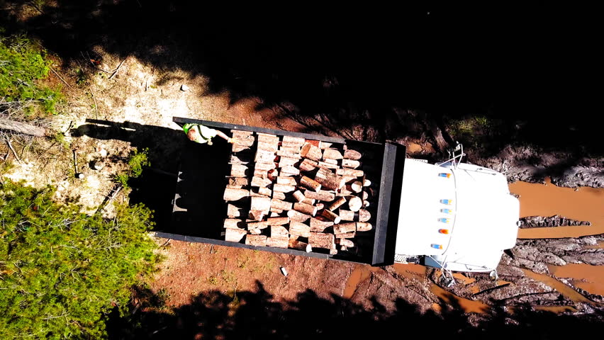 Aerial Top View Of Truck With Logs And Lumberjack Amidst Trees, Drone Ascending Over Vehicle On Dirt Road In Forest - Billings, Montana