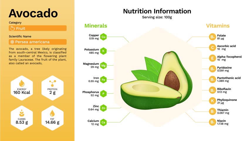 Avocado and its Nutritional Properties with Minerals and Vitamins- Infographics Design