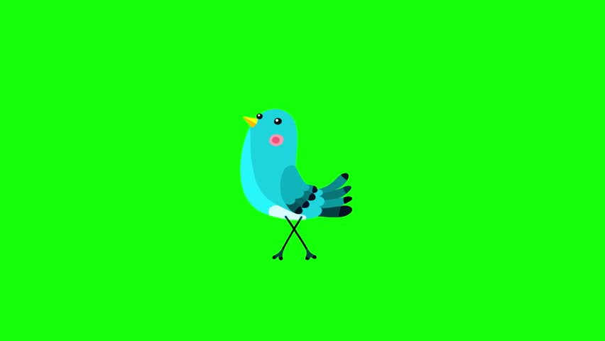 Nightingale bird blue cartoon animation character isolated stop walking. Animated bird character moves serie.
