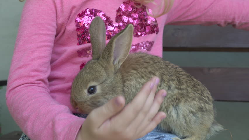 a girl is playing with a rabbit,a little girl with a rabbit on her feet is holding