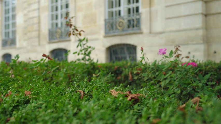 Beautiful young girl walking near blooming flower beds