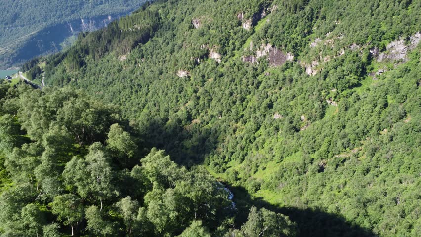 Camera slowly passes some trees to reveal a long river running through the woods that ends up in a bigger reservoir.