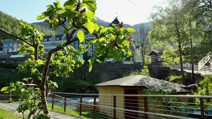 Unweiling luxury hotel Union in Geiranger Norway from behind a closeup apple tree branch - Pointy mountain peak in background