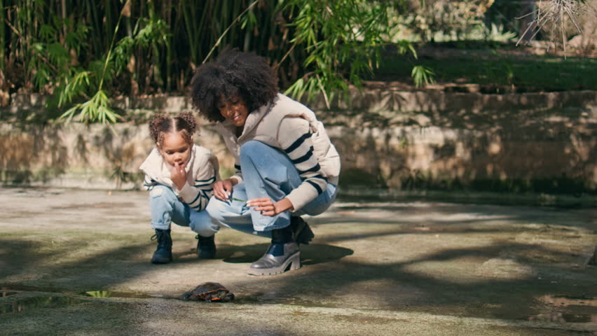 African american woman looking on small turtle with cute little daughter in beautiful park. Happy smiling family find tortoise moving on ground sunny weekend. Carefree couple exploring nature together