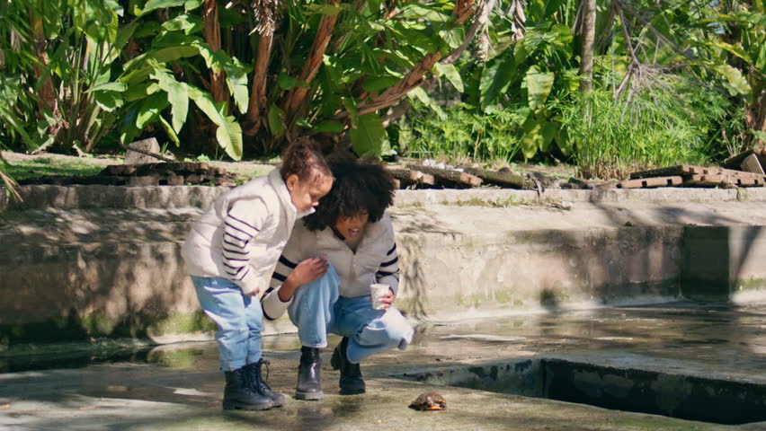 Mother daughter meet turtle in beautiful green park at weekend walk. African american woman looking on small tortoise with curly girl sunny day. Happy family squatting exploring reptile outdoors.