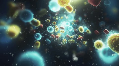 Animation of bacteria and microparticles. High quality 4k footageの動画素材
