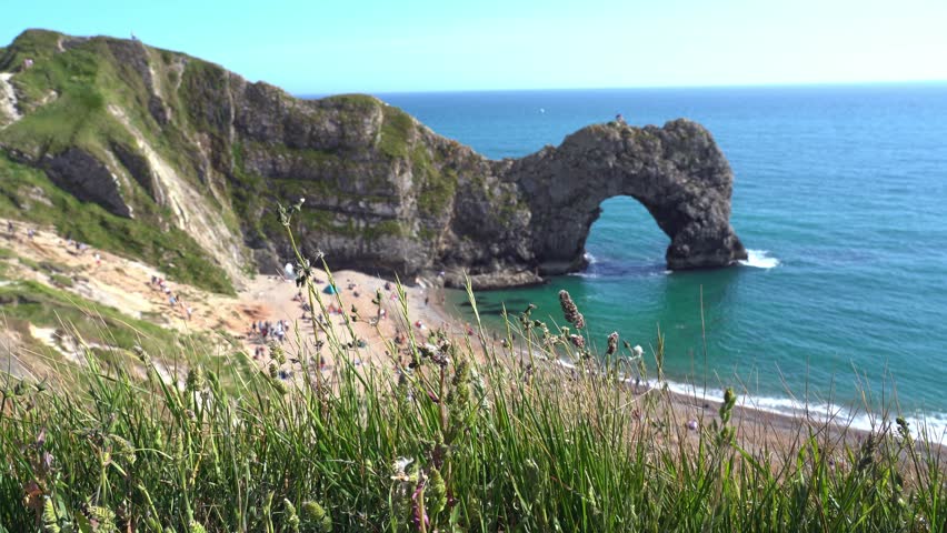 Landscape of Durdle Door beach at sunny day with focus on green meadow flowers and grass. Dorset England