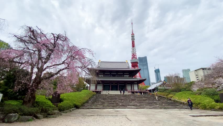 The beautiful view in Tokyo