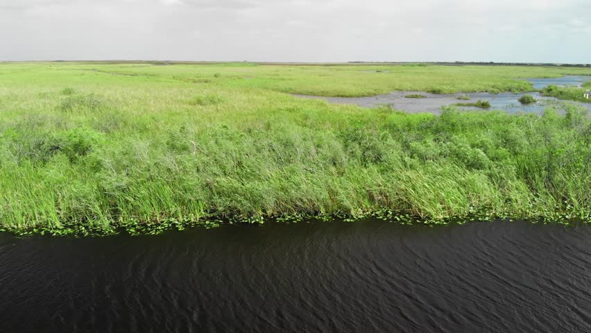 Aerial view of the Everglades National Park, Florida, United States. Swamp and wetlands on a beautiful day