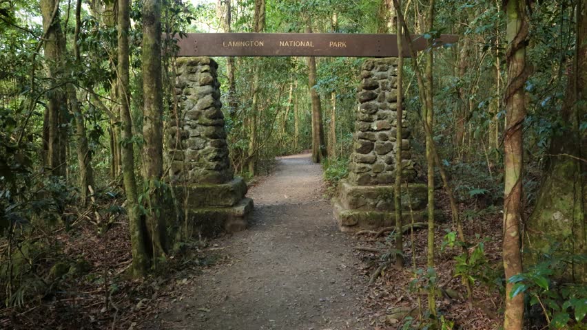 Handheld Footage at the entrance to the Main Boarder Track in Lamington National Park, Binna Burra, Gold Coast Hinterland, Australia.