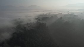 Jungle in the morning, sunrise in the jungle forest with fog, jungle aerial footage video