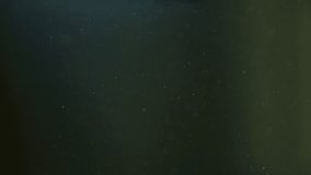 Dust Particles Floating in Green Space, Slow Motion 4K - Powered by Shutterstock - Get 15% off with code: PIKWIZARD15