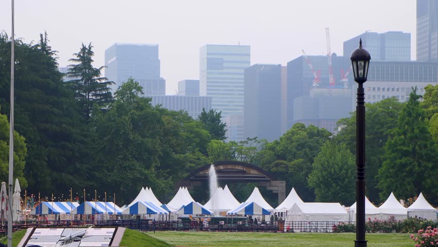 The beautiful view in Tokyo