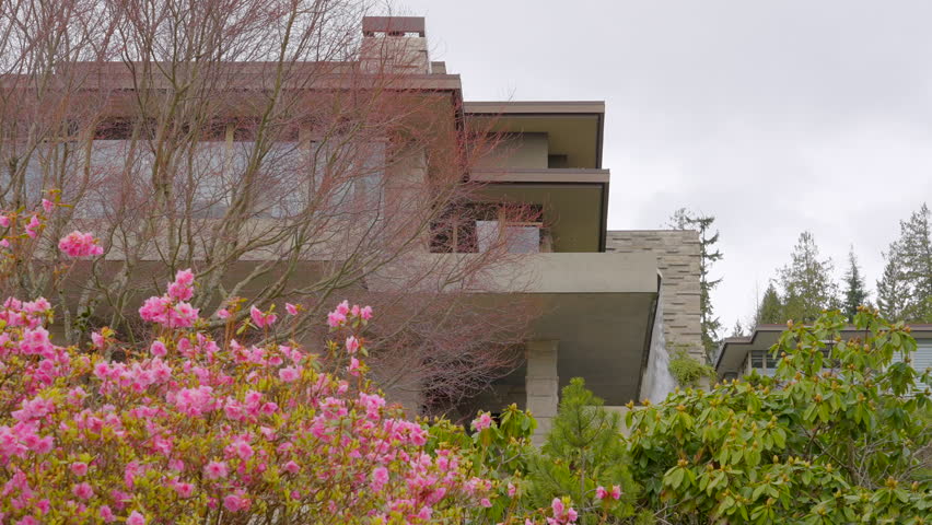 Establishing shot of two story stucco luxury house with garage door, big tree and nice spring blossom landscape in Vancouver, Canada, North America. Day time on Apr 2023. ProRes 422 HQ.