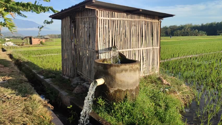 Pump for Water Fulfillment for Rice Field Irrigation.