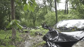 Abandoned Car in Jungle Dump yard,  Cinematic Clip, Last of us Vibes, Monsoon Season, Rainfall in Jungle, Garbage in Jungle, Land Pollution.