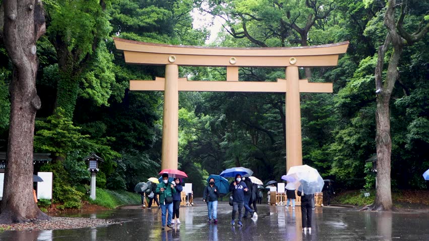 The beautiful view in Tokyo