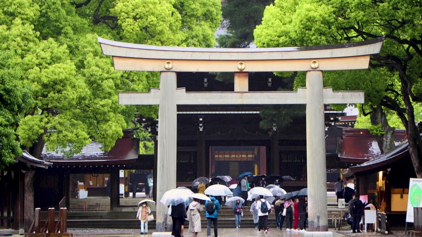 The beautiful view in Tokyo