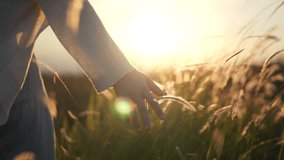 B roll - Hand of traveling woman touching meadow in the rays of the sunset summer, Female walks through the field in thick high grass, slow motion - Powered by Shutterstock - Get 15% off with code: PIKWIZARD15