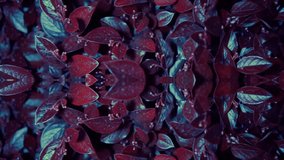 Mirror Effect, Stylish Neon Illuminated Frame with Leaf Texture. Colorful Texture in Nature. Natural Background in Motion. Foliage Texture in Neon Glow - Powered by Shutterstock - Get 15% off with code: PIKWIZARD15