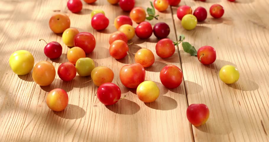 Red cherry plum scattered on a wooden table. Dolly shot. fresh fruits on a sunny day. veggie food. High quality 4k footage