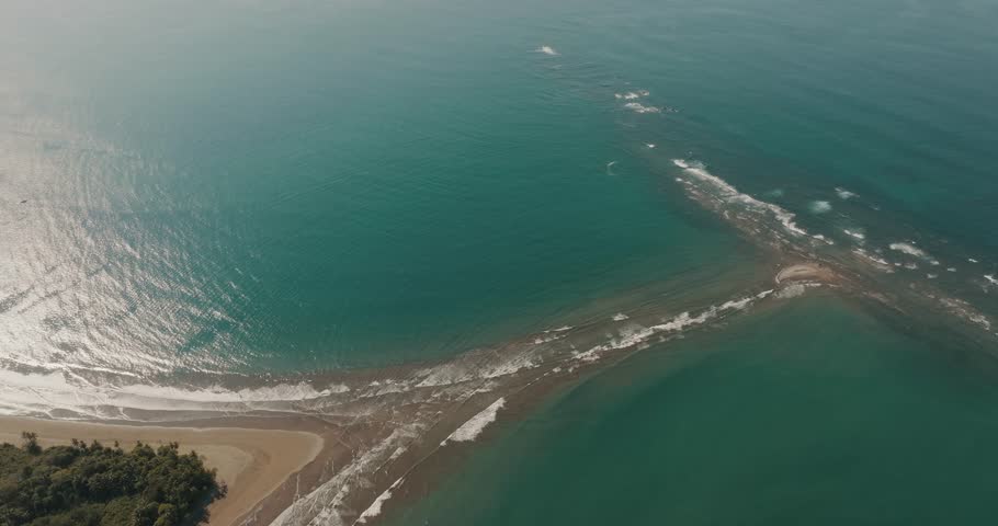 Amazing View Of Whale