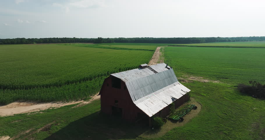Old Barn House With Evergreen Plantation At Background Near Biscoe In Prairie County, Arkansas, United States. Aerial Shot