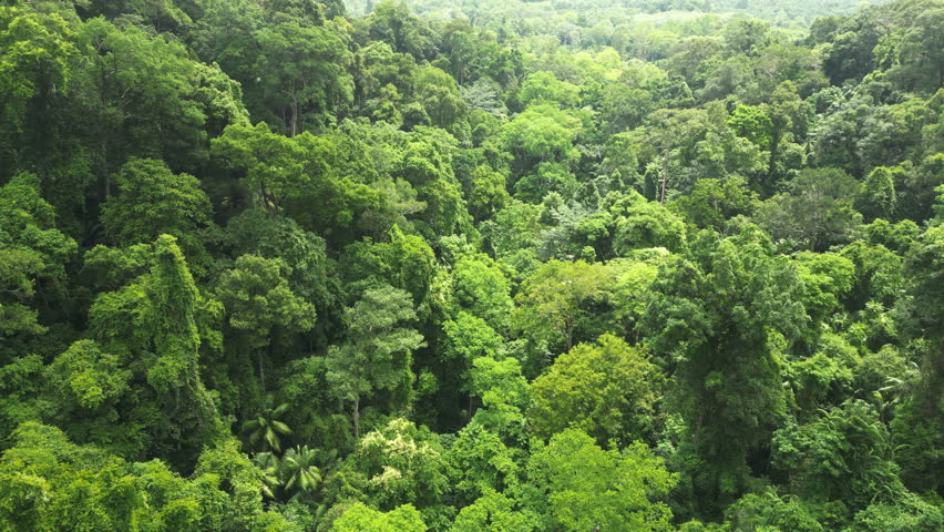 Aerial over heavy tropical jungle growth near Huay To Waterfall, Krabi, Thailand. Drone orbit shot