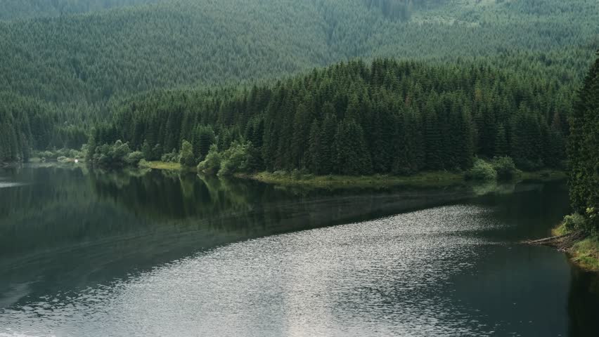 Blue mountain lake in Carpathian mountains pine forest. Transalpina road, Romania.