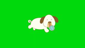 Cute Puppy on green screen, 4k video animation, 3d render, chrome key