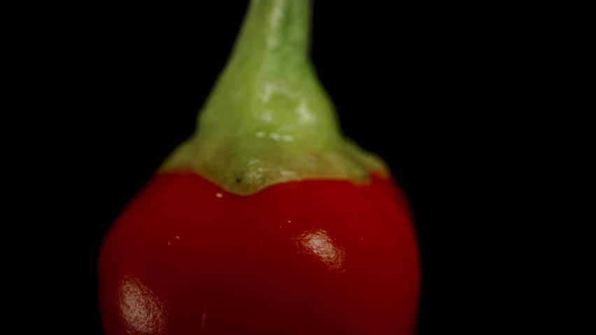 A red rosemary pepper rotates on a black background, simulating a downward fall. Macro zoom. Isolated view.