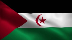 Western Sahara flag waving animation, perfect looping, 4K video background, official colors