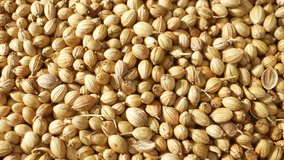 Coriander seeds, the dried fruits of the coriander plant, boast a warm, citrusy flavor with earthy undertones. A staple in culinary uses, they enhance dishes from around the world.
