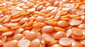 Nutrient-rich red lentils: Protein-packed legumes with a vibrant hue, offering a quick-cooking source of fiber, iron, and essential vitamins.
