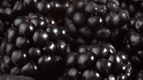 Juicy blackberries with water drops rotating in macro. Blackberrie for marketing videos or promotions for restaurants, cafes and food video