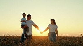 Mom dad child walk hand in hand. Happy family of farmers with child, are walking on wheat field. Slow motion. Mother father, little daughter enjoying nature together outdoor. People travel. Silhouette