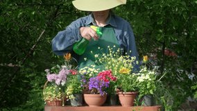 Sprays water on flowers and flowerpots in the garden, florist working with spray, takes care of plants in house. Gardener caring ornamental flowers in garden, spraying flower in summer day closeup slo - Powered by Shutterstock - Get 15% off with code: PIKWIZARD15