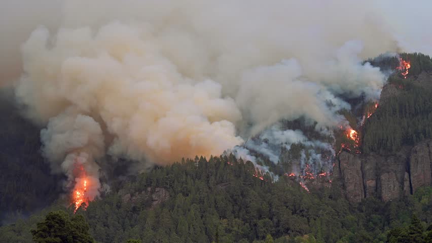 Strong forest fire, heavy smoke and open fire.