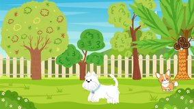 Immerse your audience in a world of boundless joy with our enchanting animation video featuring a delightful array of playful puppies.