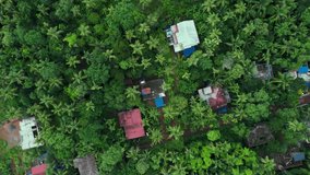 Beautiful aerial view of Kerala village, Drone video of palm trees and houses