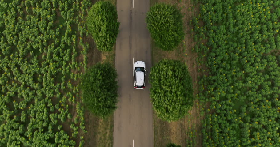 Aerial view Electric Car Driving on Country Road. Luxury modern vehicle riding fast along trees and fields. Cinematic drone shot flying over road with trees at sunset. Establishing shot travel trip Royalty-Free Stock Footage #1107764883