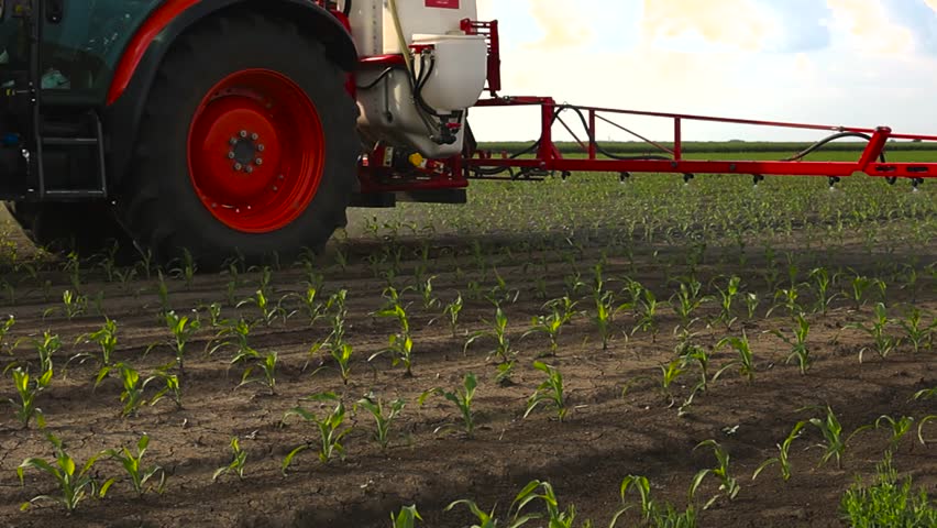  close-up of a tractor spraying pesticides on corn field  with sprayer at spring Royalty-Free Stock Footage #1107772879