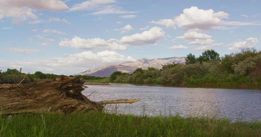Steady shot of the river bank of the Rio Grande River in Albuquerque
