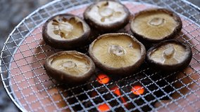Shiitake mushrooms grilled on a charcoal stove