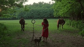 popular blogger is recording videoblog standing in forest meadow with dog and horses on background talking to subscribers. Social media and people concept.