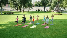 Diverse group of people practicing tree pose in city park. Yoga practitioners balancing on one leg, with hands in namaste. Outdoor sports activities in the fresh air. Health and wellness concept - Powered by Shutterstock - Get 15% off with code: PIKWIZARD15