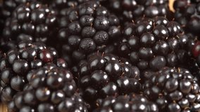Juicy blackberries with water drops rotating in macro. Blackberrie for marketing videos or promotions for restaurants, cafes and food video
